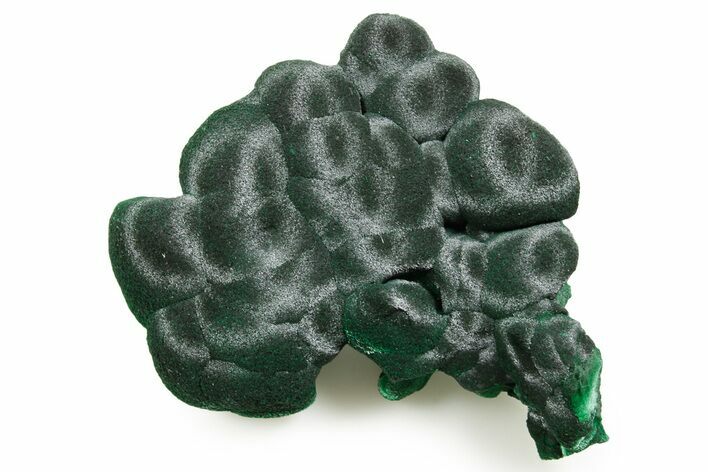 Chatoyant Fibrous Malachite Crystal Cluster - DR Congo #379680